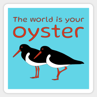 The World Is Your Oyster Pied Oystercatcher Sticker